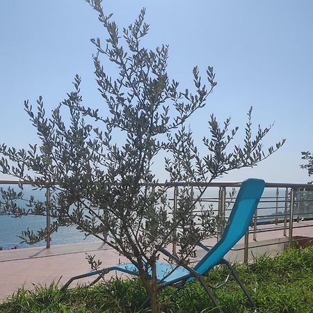 Apartment Oliva Ulcinj Eksteriør billede